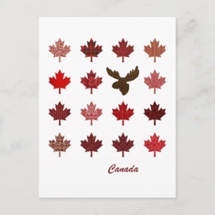 Canada Maple Leaf and Moose postcard