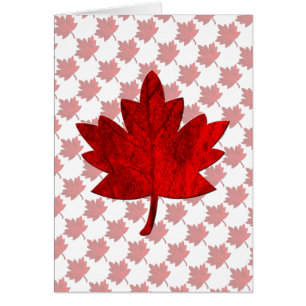 Canada-Maple Leaf by Shirley Taylor