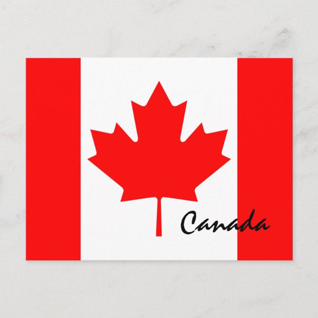 Canada Maple Leaf Flag Colours Postcard (Front)