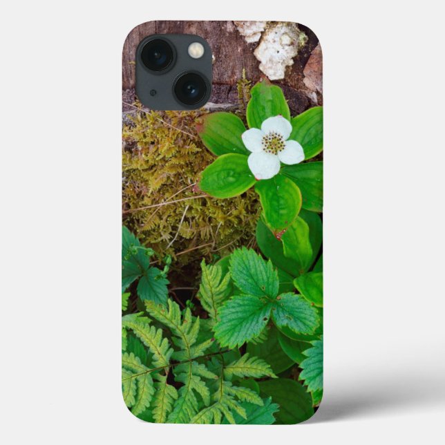 Canada, New Brunswick, ,  2 Case-Mate iPhone Case (Back)