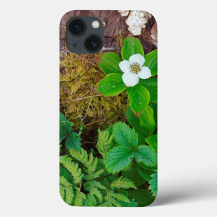 Canada, New Brunswick, , 2 iPhone 13 Case