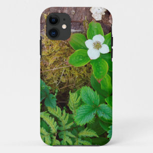 Canada, New Brunswick, , 2 Case-Mate iPhone Case