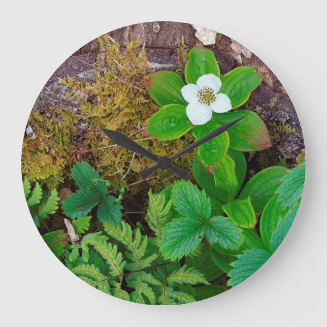Canada, New Brunswick, ,  2 Large Clock (Front)