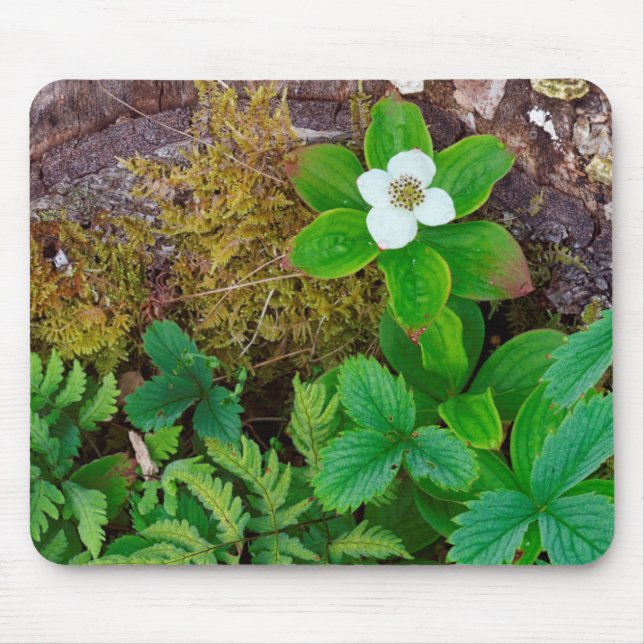 Canada, New Brunswick, ,  2 Mouse Pad (Front)