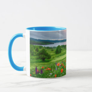 Canada, New Brunswick, , 3 Mug