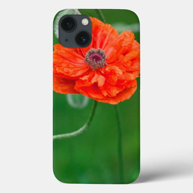 Canada, New Brunswick, , Case-Mate iPhone Case (Back)