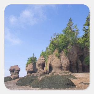 Canada, New Brunswick, Hopewell Cape, Bay of Square Sticker