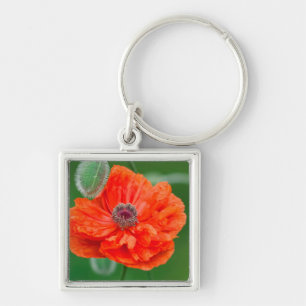 Canada, New Brunswick, , Key Ring