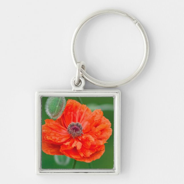 Canada, New Brunswick, , Key Ring (Front)