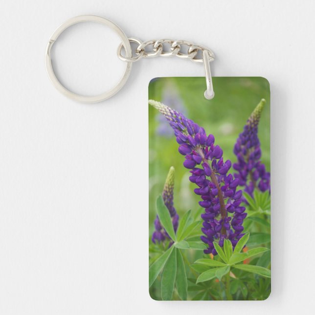 Canada, New Brunswick, . Key Ring (Front)