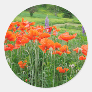 Canada, New Brunswick, . Landscape Classic Round Sticker