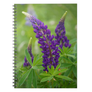 Canada, New Brunswick, . Spiral Notebook