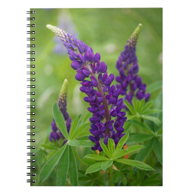 Canada, New Brunswick, . Spiral Notebook (Front)