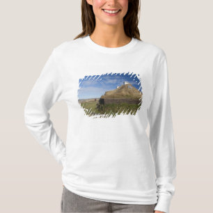 Canada, Newfoundland and Labrador, L'Anse Aux 4 T-Shirt