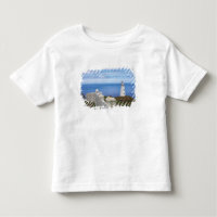 Canada, Newfoundland, Cape Spear National 3