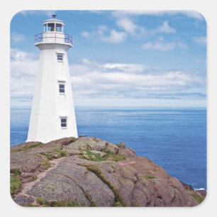 Canada, Newfoundland, Cape Spear National Square Sticker