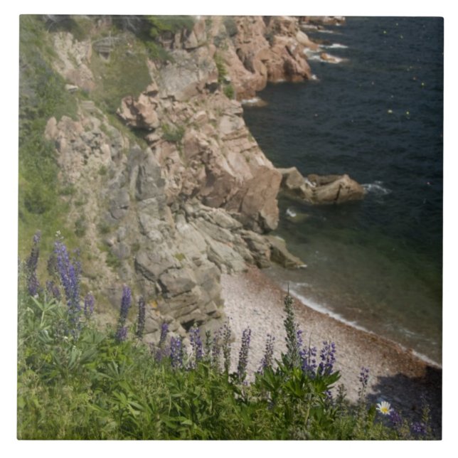Canada, Nova Scotia, Cape Breton Island, Cabot 3 Tile (Front)