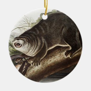 Canada Otter (Lutra Canadensis) Illustration Ceramic Tree Decoration