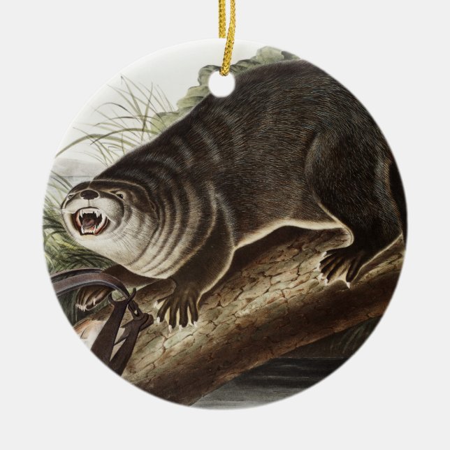 Canada Otter (Lutra Canadensis) Illustration Ceramic Tree Decoration (Front)