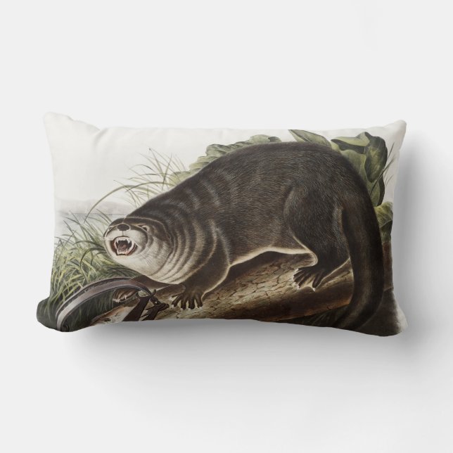 Canada Otter (Lutra Canadensis) Illustration Lumbar Cushion (Front)