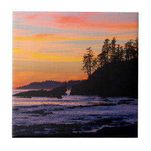 Canada, Pacific Rim National Park Reserve, West Tile