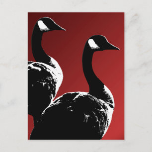 Canada Postcards Custom Canada Goose Postcards