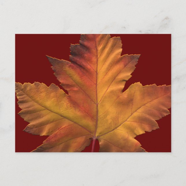 Canada Postcards Custom Canada Souvenir Postcards (Front)