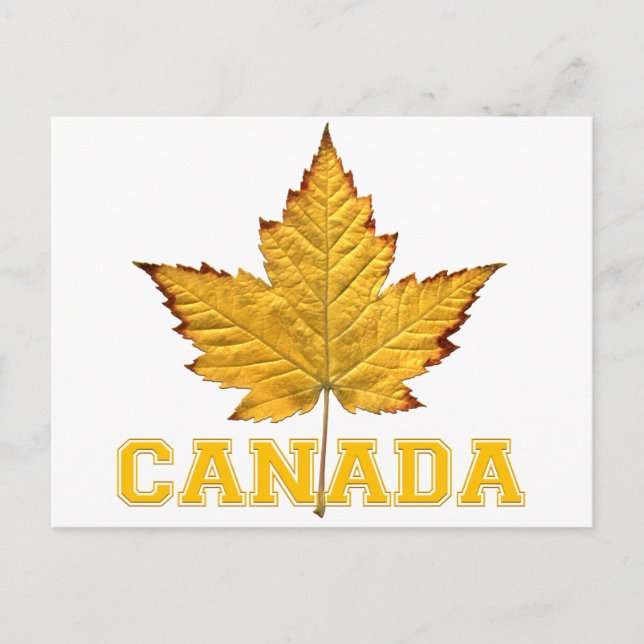 Canada Postcards Varsity Canada Souvenir Postcards (Front)