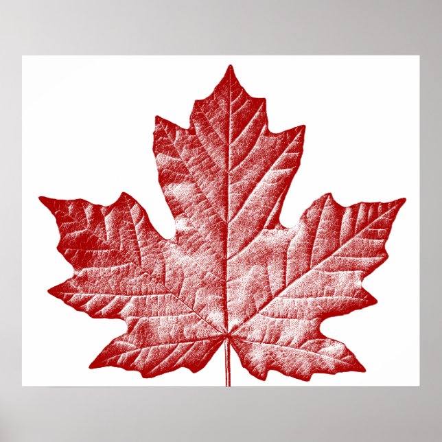 Canada Poster Canada Maple Leaf Souvenir Print (Front)