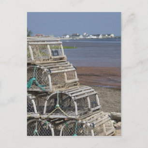 Canada, Prince Edward Island, Rustico. Lobster Postcard