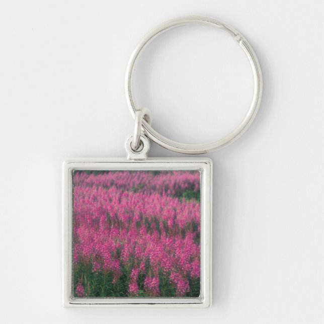 Canada, Quebec, Gaspe. Purple Lythrum Flowers, Key Ring (Front)
