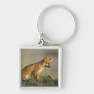 Canada, Quebec. Red fox cub at sunrise Key Ring