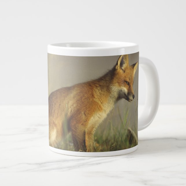 Canada, Quebec. Red fox cub at sunrise Large Coffee Mug (Front Right)