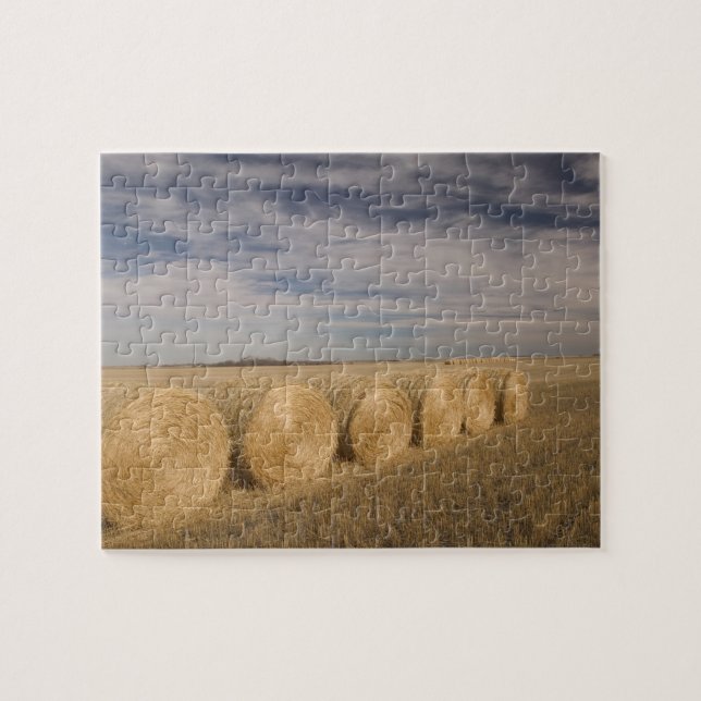 Canada, Saskatchewan, Craik: Hayrolls / Autumn Jigsaw Puzzle (Horizontal)