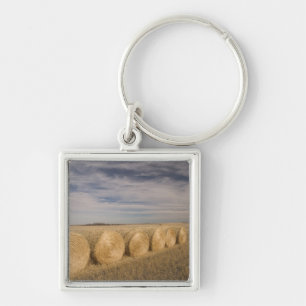 Canada, Saskatchewan, Craik: Hayrolls / Autumn Key Ring
