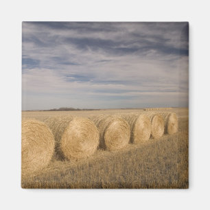 Canada, Saskatchewan, Craik: Hayrolls / Autumn Magnet