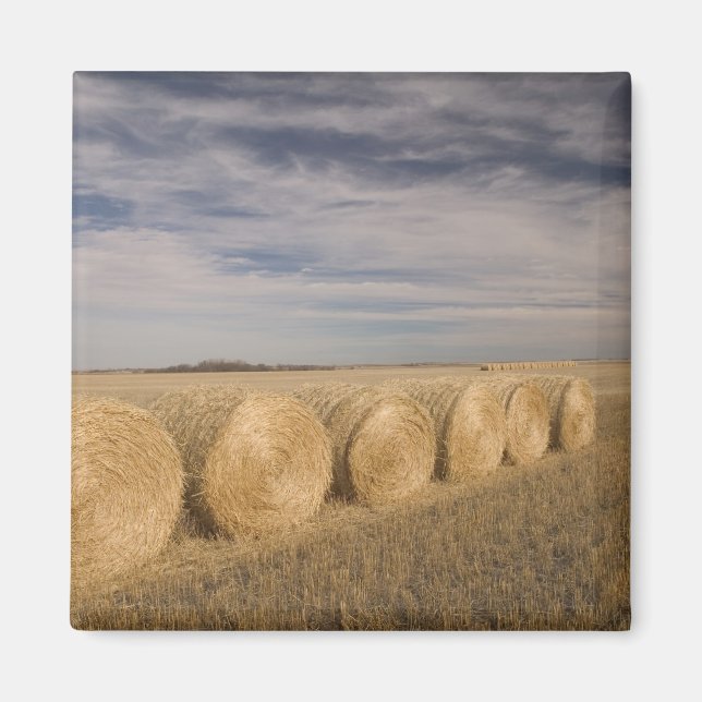 Canada, Saskatchewan, Craik: Hayrolls / Autumn Magnet (Front)