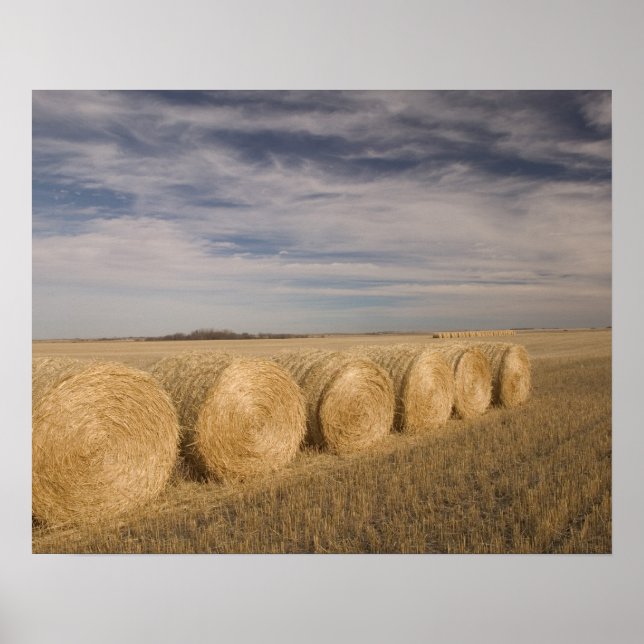Canada, Saskatchewan, Craik: Hayrolls / Autumn Poster (Front)