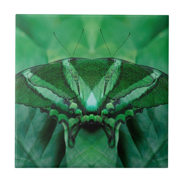Canada, Victoria, Victoria Butterfly Gardens Tile (Front)