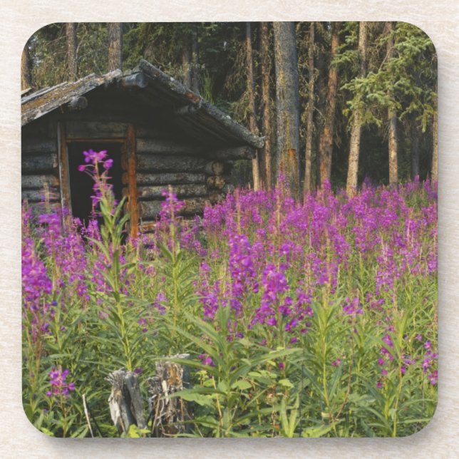 Canada, Yukon, Ross River area, Abandoned cabin Coaster (Front)