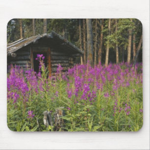 Canada, Yukon, Ross River area, Abandoned cabin Mouse Pad