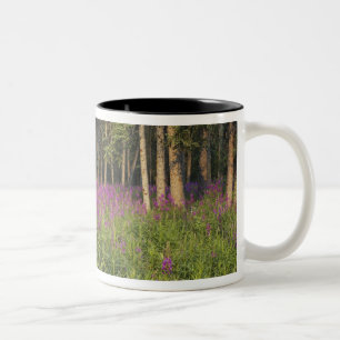 Canada, Yukon, Ross River area, Abandoned cabin Two-Tone Coffee Mug