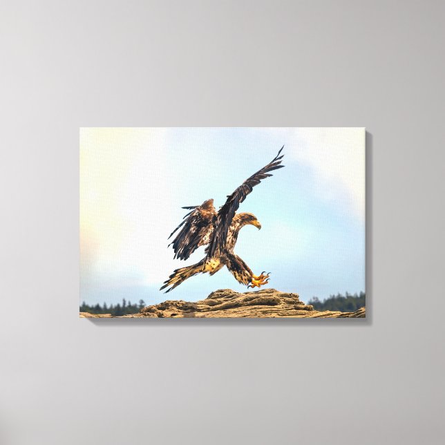 Canadian Bald Eagle Landing  Canvas Print (Front)