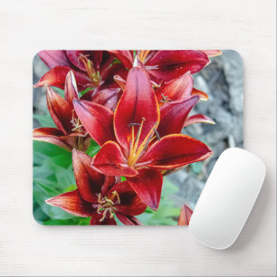 Canadian Beauty: Red Stargazer Lily Photography Mouse Pad