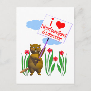 Canadian Beaver Loves Newfoundland, Labrador Postcard
