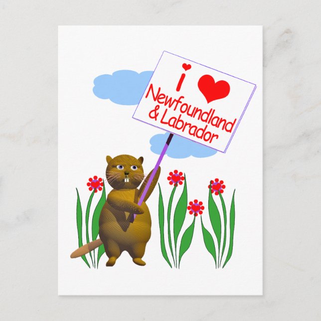 Canadian Beaver Loves Newfoundland, Labrador Postcard (Front)