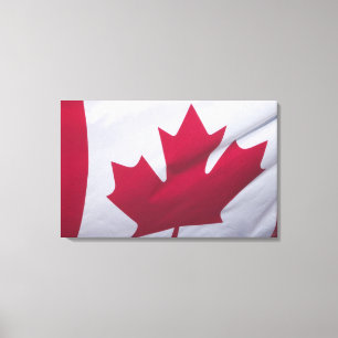 Canadian Flag. Canvas Print