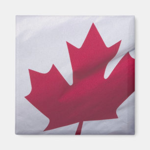 Canadian Flag. Magnet