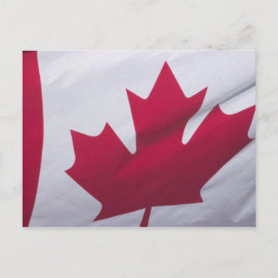 Canadian Flag. Postcard