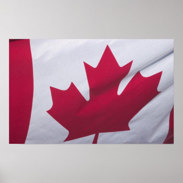 Canadian Flag. Poster (Front)
